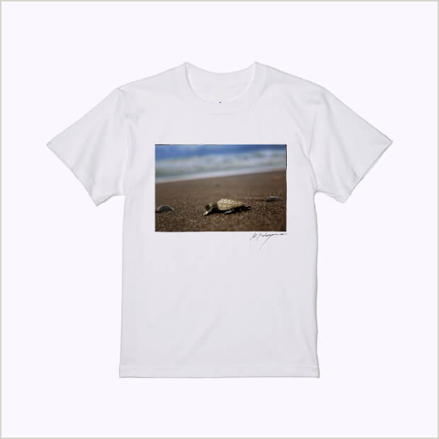 Earth-Life Tシャツ(ヒメウミガメ)